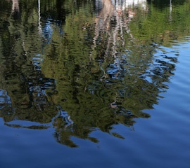 P1012405a1.jpg